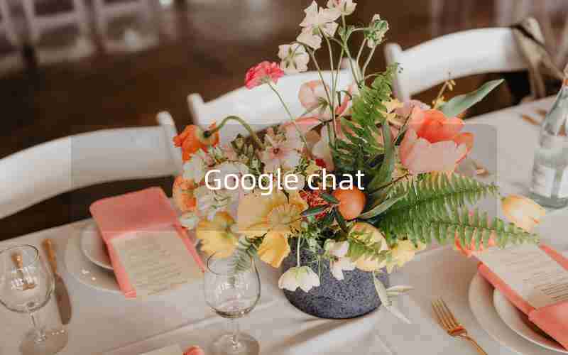 Google chat