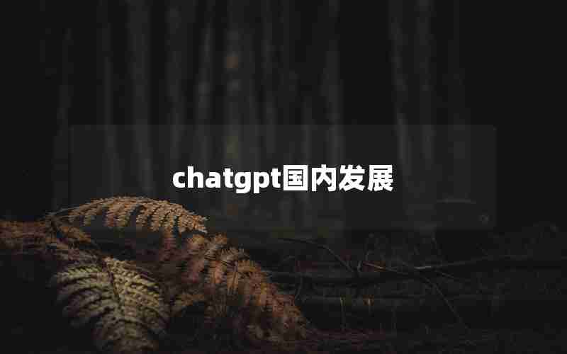 chatgpt国内发展