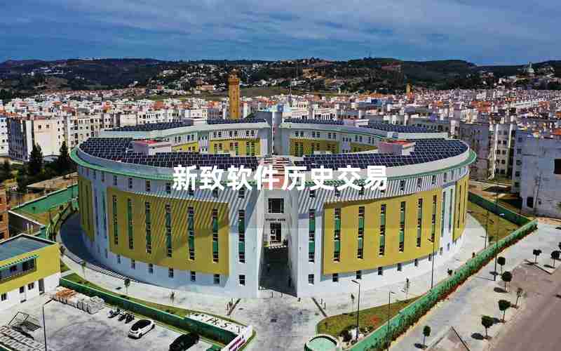 新致软件历史交易