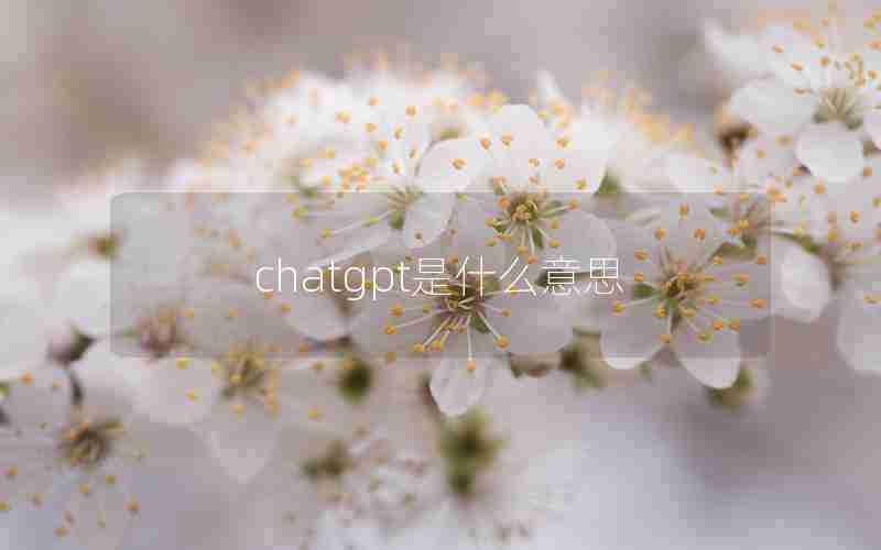 chatgpt是什么意思 chatgpt是什么意思