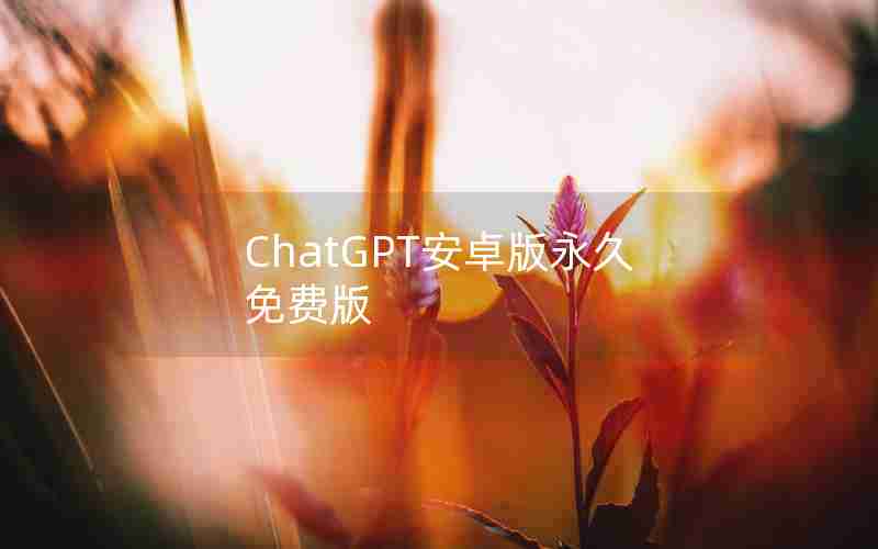 ChatGPT安卓版永久免费版 ChatGPT安卓版永久免费版