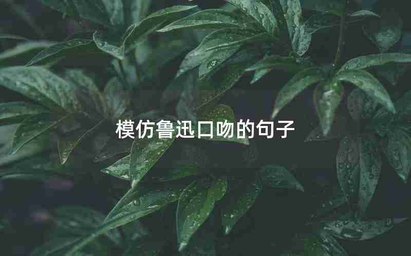 模仿鲁迅口吻的句子