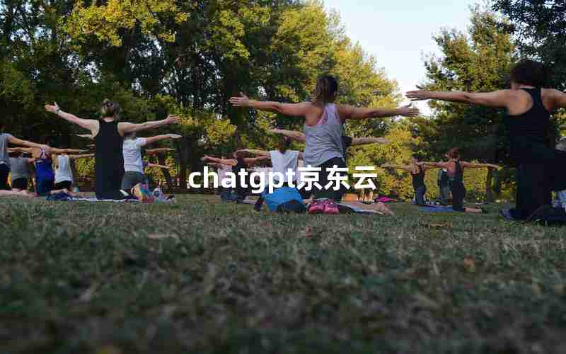 chatgpt京东云