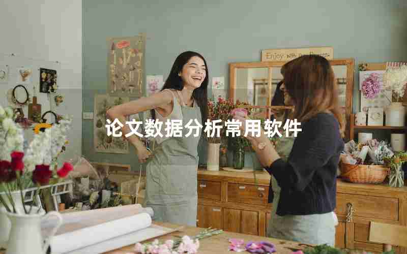 论文数据分析常用软件