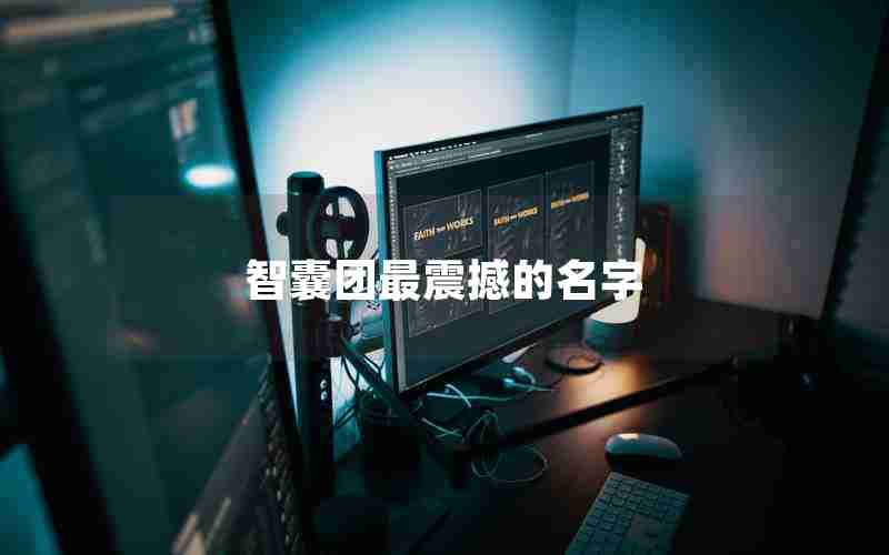 智囊团最震撼的名字 智囊团最震撼的名字