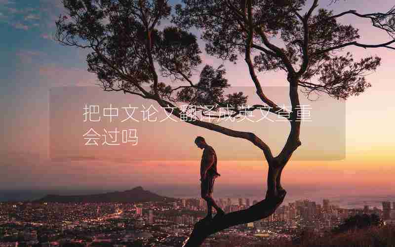 把中文论文翻译成英文查重会过吗