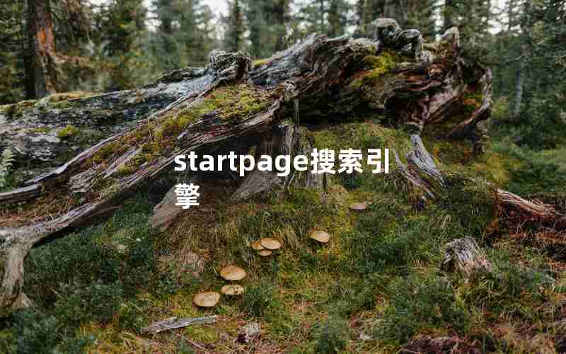 startpage搜索引擎 startpage搜索引擎