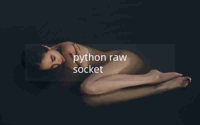 python raw socket