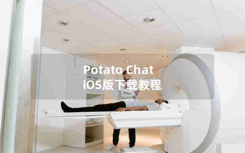 Potato Chat iOS版下载教程
