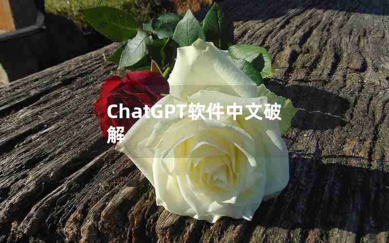 ChatGPT软件中文破解