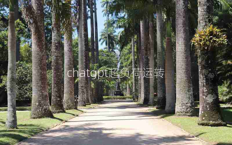 chatgpt超负荷运转 chatgpt超负荷运转