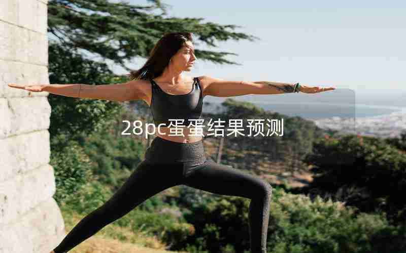 28pc蛋蛋结果预测