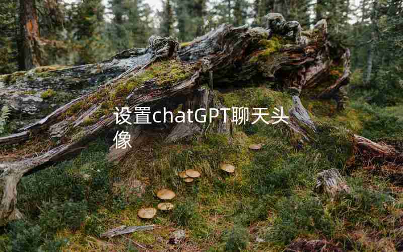 设置chatGPT聊天头像 设置chatGPT聊天头像