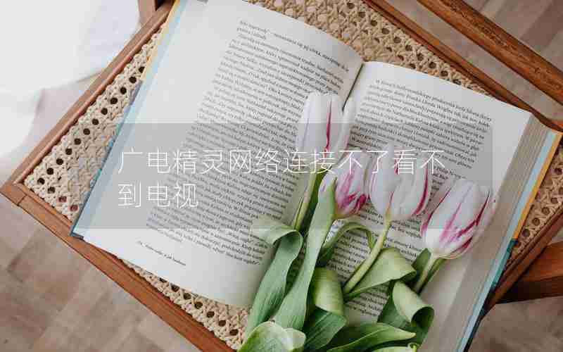 广电精灵网络连接不了看不到电视
