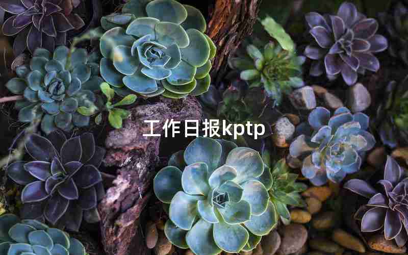 工作日报kptp 工作日报kptp