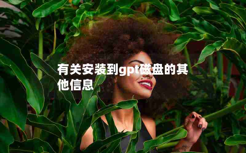 有关安装到gpt磁盘的其他信息 有关安装到gpt磁盘的其他信息