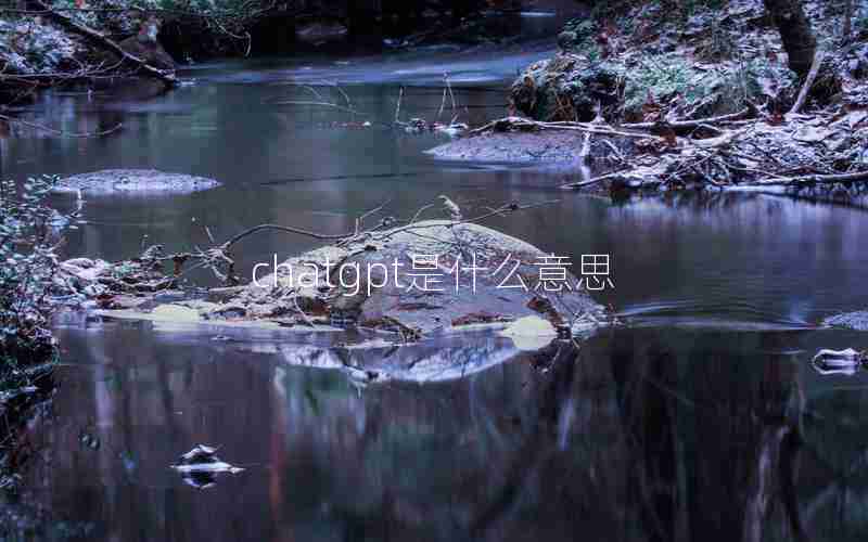 chatgpt是什么意思 chatgpt是什么意思