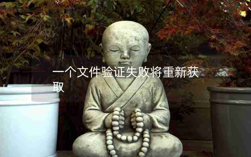 一个文件验证失败将重新获取 一个文件验证失败将重新获取