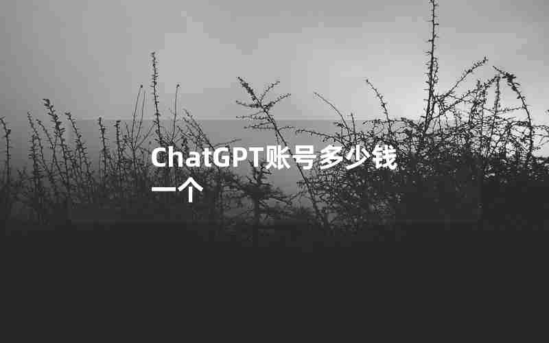 ChatGPT账号多少钱一个 ChatGPT账号多少钱一个