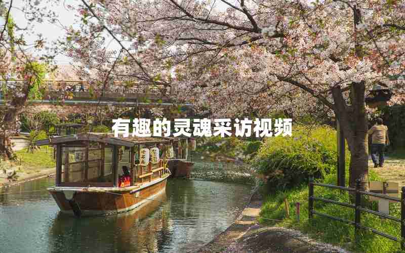 有趣的灵魂采访视频