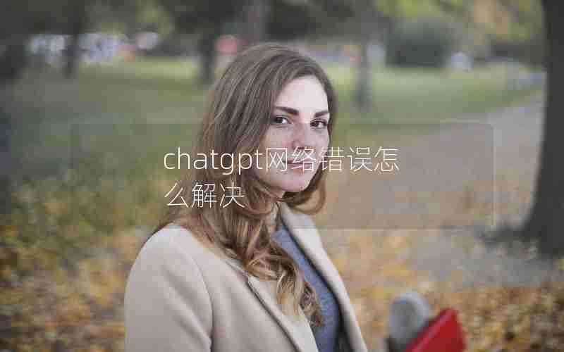 chatgpt网络错误怎么解决