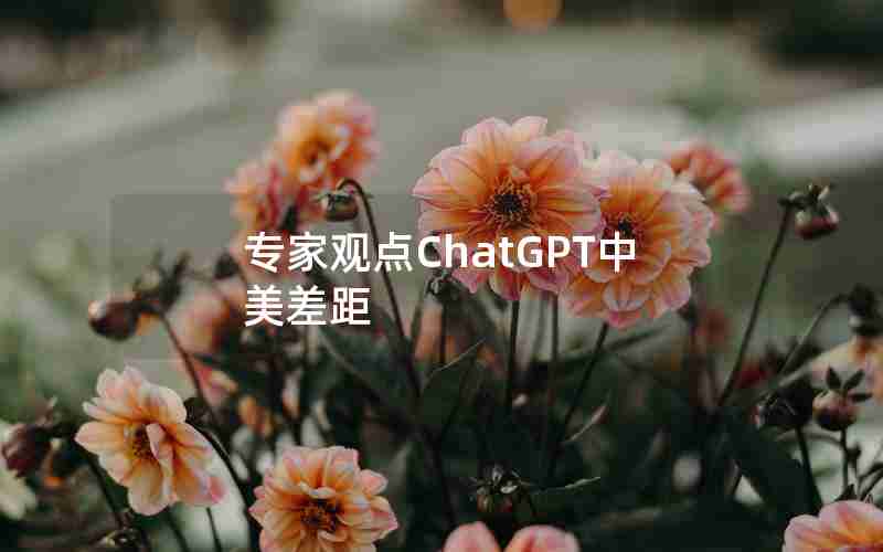 专家观点ChatGPT中美差距