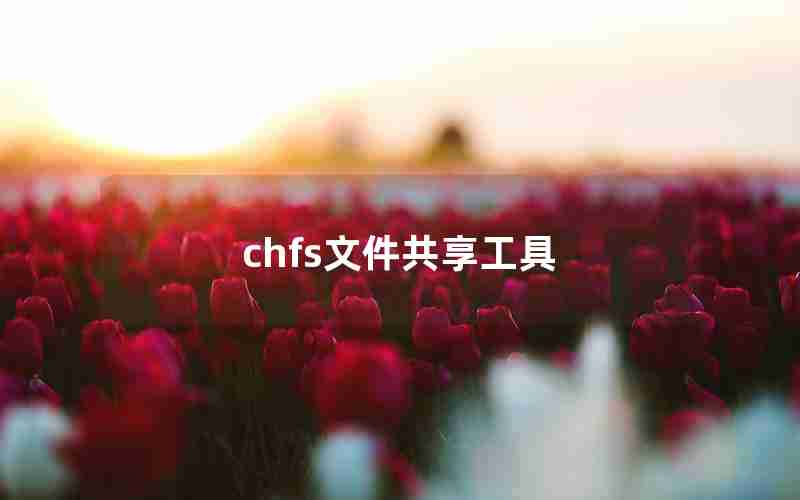 chfs文件共享工具 chfs文件共享工具