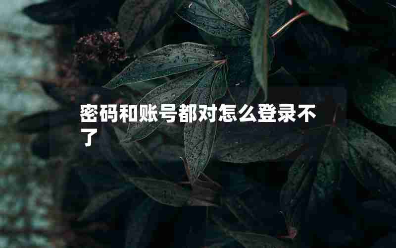 密码和账号都对怎么登录不了