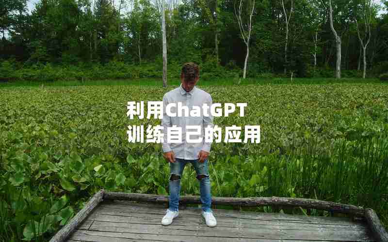 利用ChatGPT 训练自己的应用