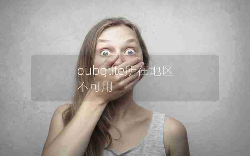 pubglite所在地区不可用 pubglite所在地区不可用