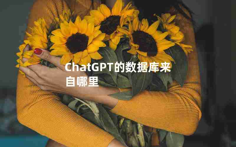 ChatGPT的数据库来自哪里