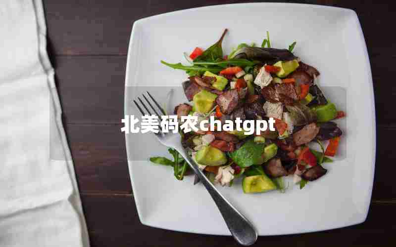 北美码农chatgpt