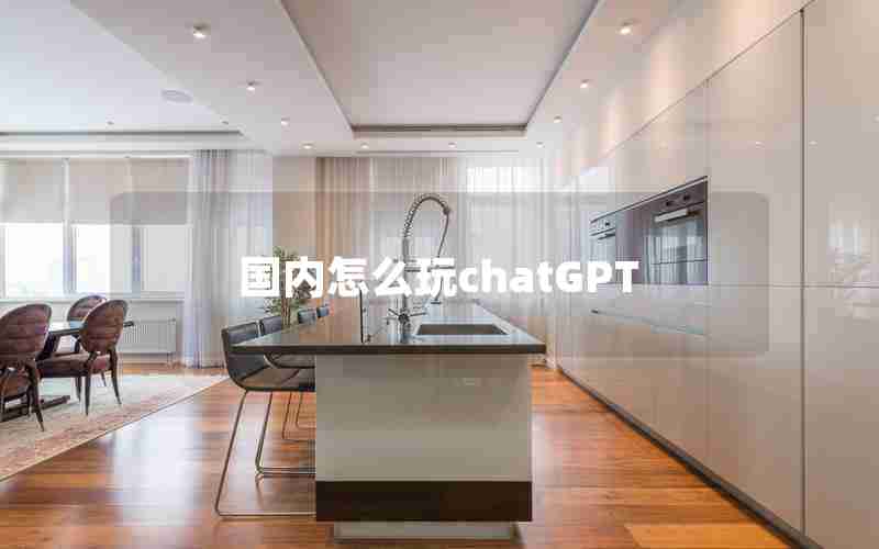 国内怎么玩chatGPT