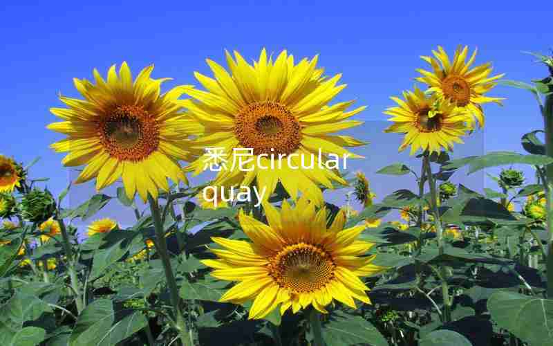 悉尼circular quay