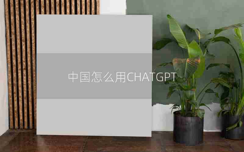 中国怎么用CHATGPT 中国怎么用CHATGPT