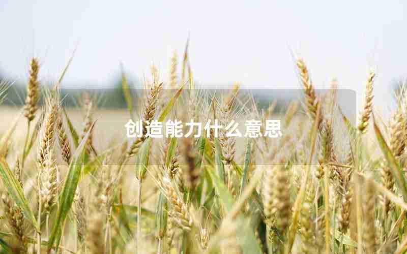 创造能力什么意思 创造能力什么意思