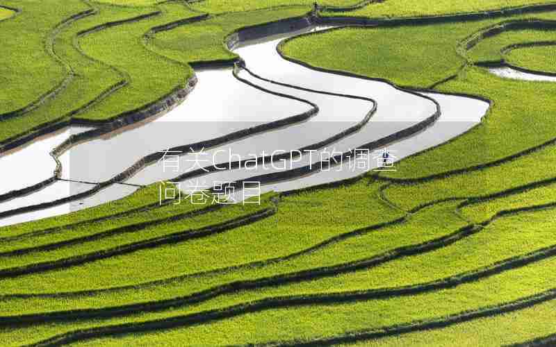 有关ChatGPT的调查问卷题目 有关ChatGPT的调查问卷题目