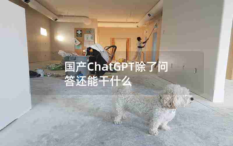 国产ChatGPT除了问答还能干什么 国产ChatGPT除了问答还能干什么