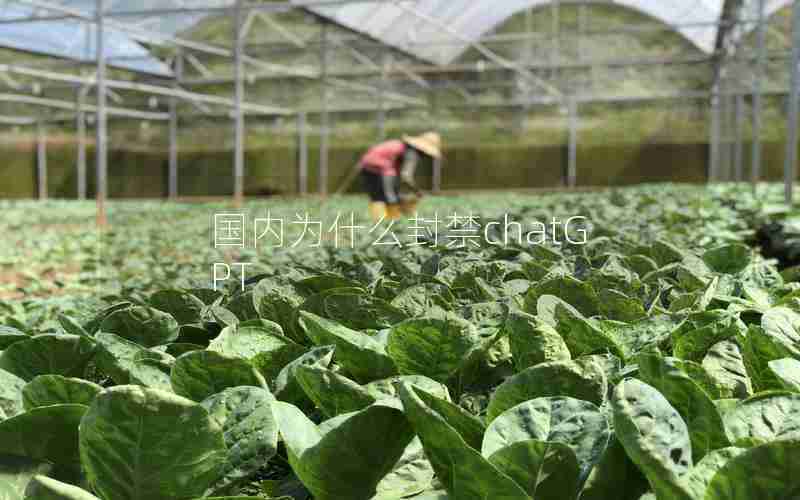 国内为什么封禁chatGPT 国内为什么封禁chatGPT
