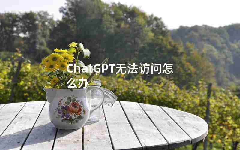 ChatGPT无法访问怎么办