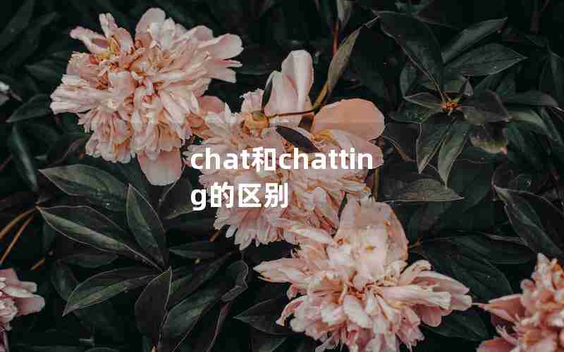 chat和chatting的区别 chat和chatting的区别