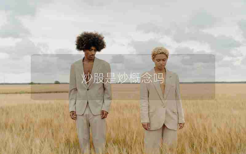 炒股是炒概念吗 炒股是炒概念吗