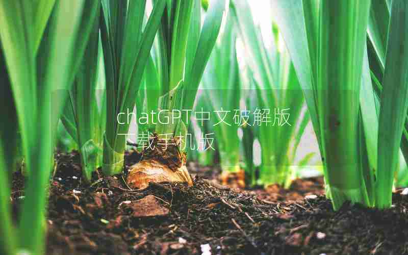 chatGPT中文破解版下载手机版 chatGPT中文破解版下载手机版