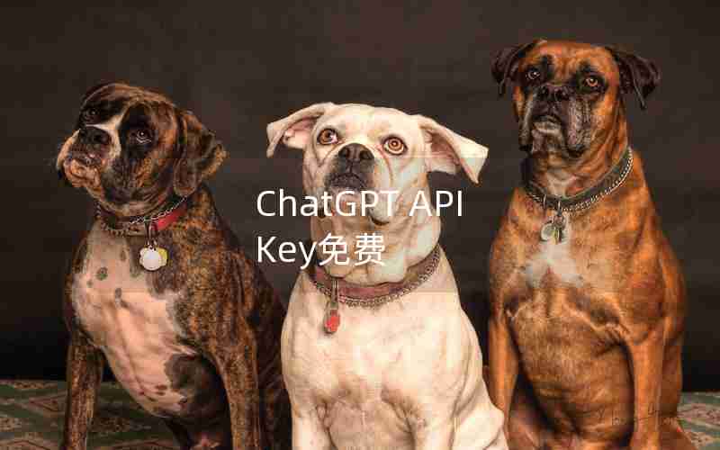ChatGPT API Key免费