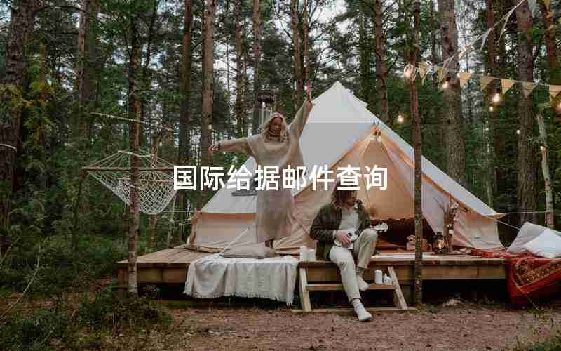 国际给据邮件查询
