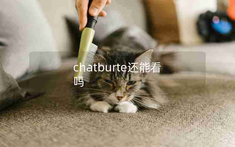 chatburte还能看吗 chatburte还能看吗