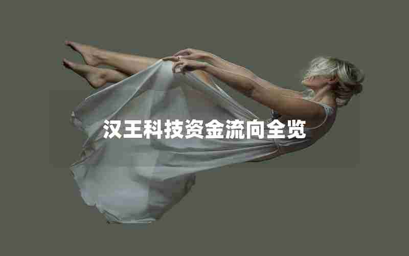 汉王科技资金流向全览 汉王科技资金流向全览