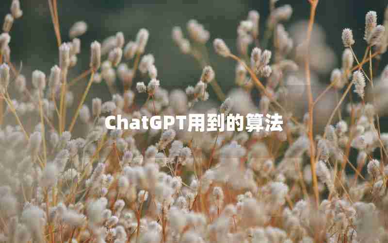 ChatGPT用到的算法