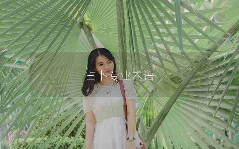 占卜专业术语 占卜专业术语