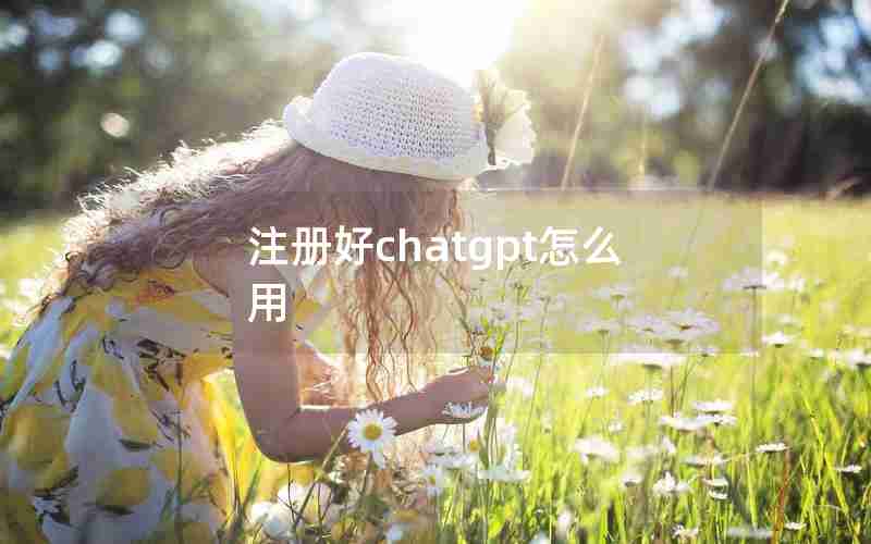 注册好chatgpt怎么用